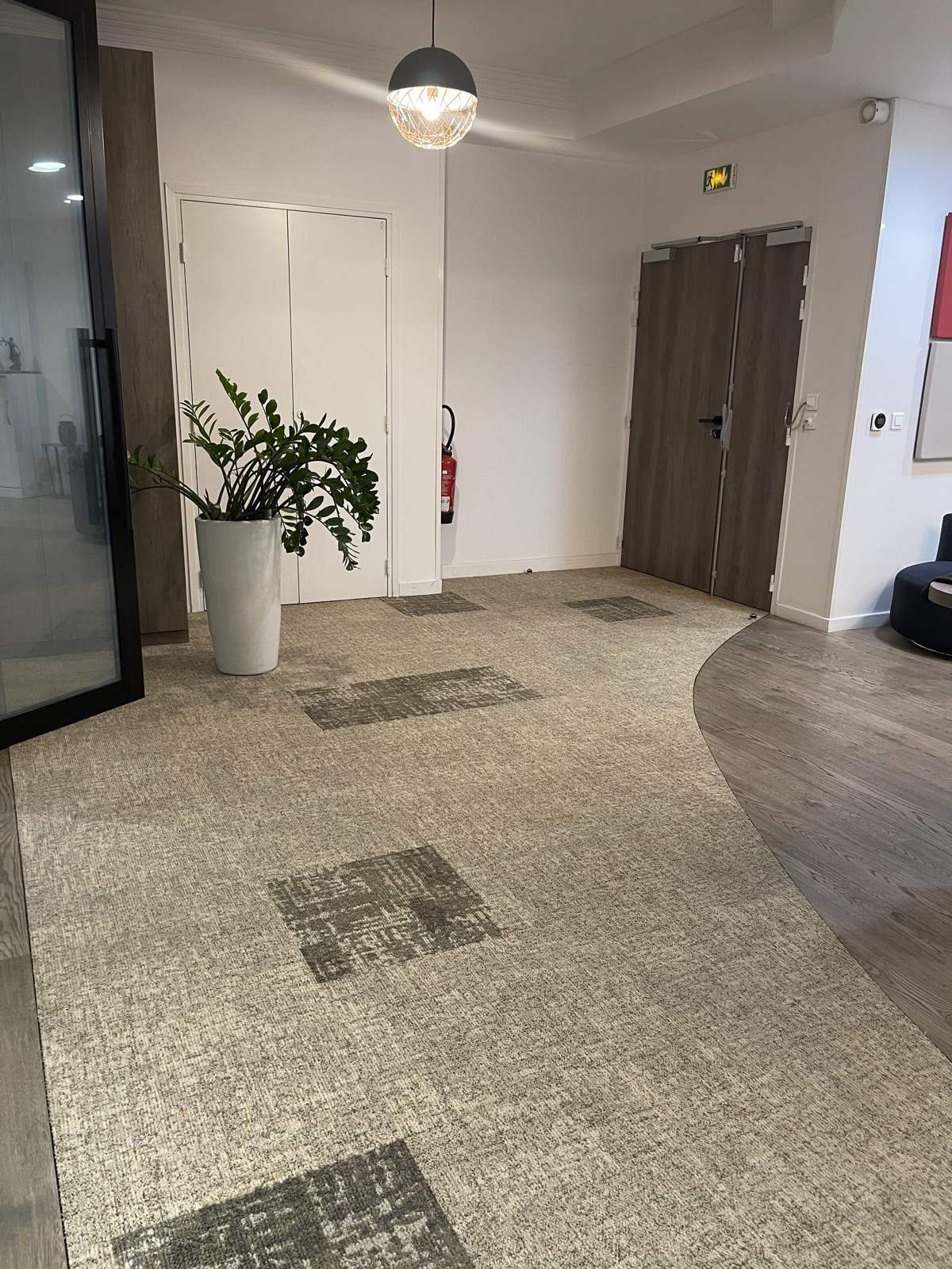 Moquette d’un hall d’accueil après shampouinage